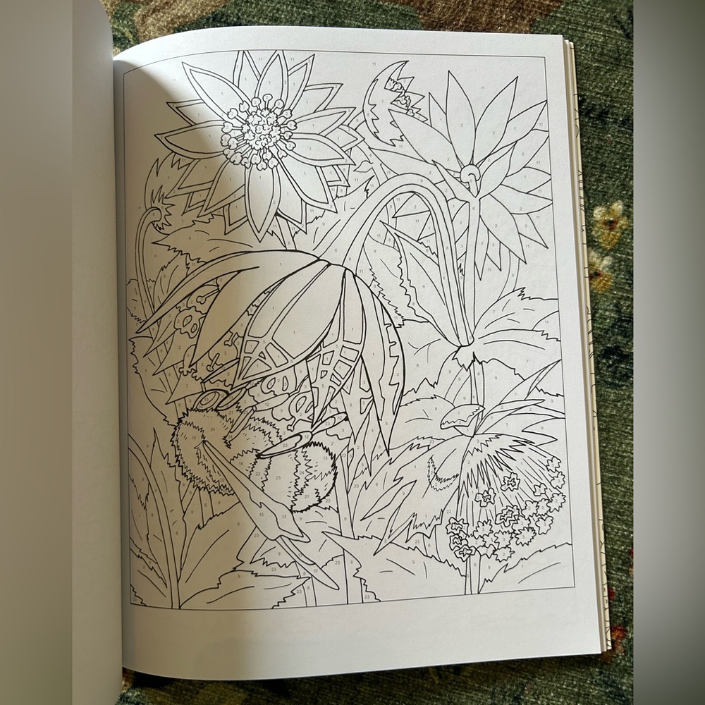 NEW Flowers Color by Numbers (Sirius Color by Numbers Collection, 12) - Picture 5 of 9